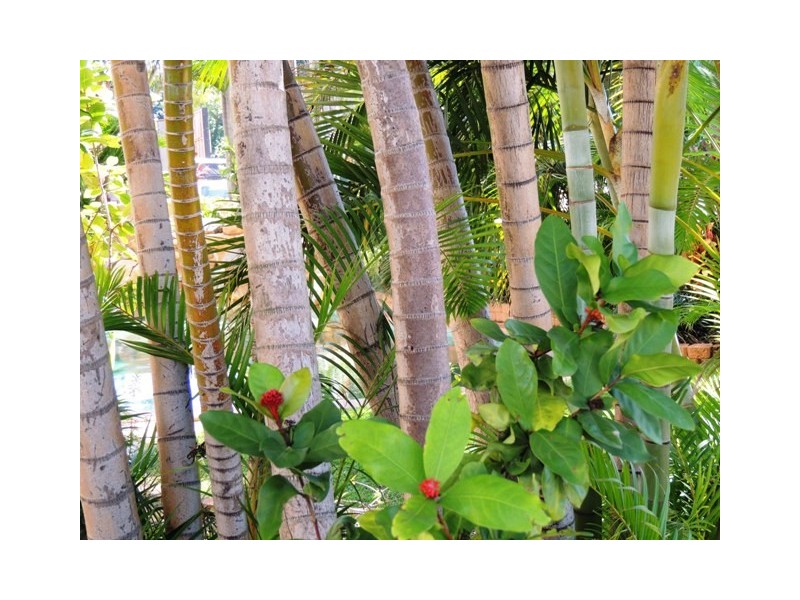 4a, 3-7 The Strand, Townsville City QLD 4810