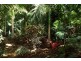 1 Rintoul Court  Horseshoe Bay, Magnetic Island QLD 4819