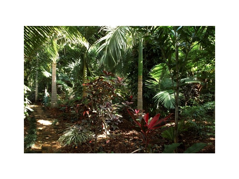 1 Rintoul Court  Horseshoe Bay, Magnetic Island QLD 4819