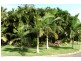 1 Rintoul Court  Horseshoe Bay, Magnetic Island QLD 4819