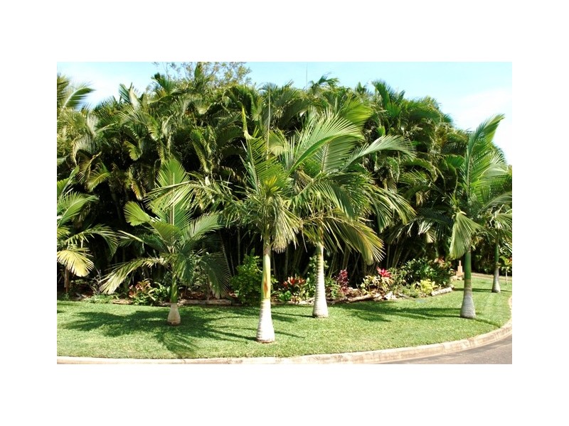 1 Rintoul Court  Horseshoe Bay, Magnetic Island QLD 4819