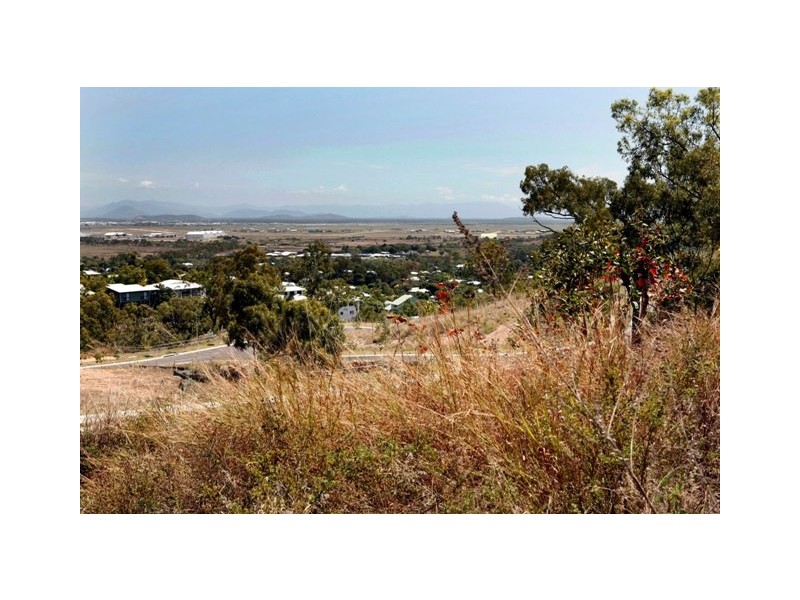 70 Yarrawonga Drive, Castle Hill QLD 4810
