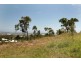 70 Yarrawonga Drive, Castle Hill QLD 4810