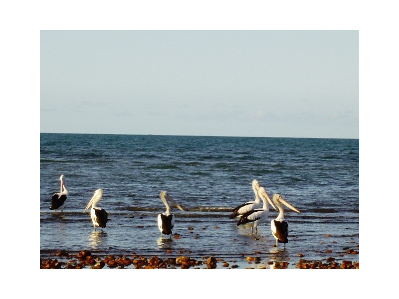 73 Esplanade, Townsville QLD 4810