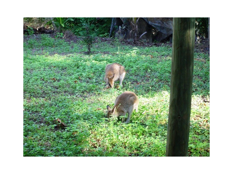 73 Esplanade, Townsville QLD 4810