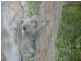 38 Corica Crescent HORSESHOE BAY, Magnetic Island QLD 4819