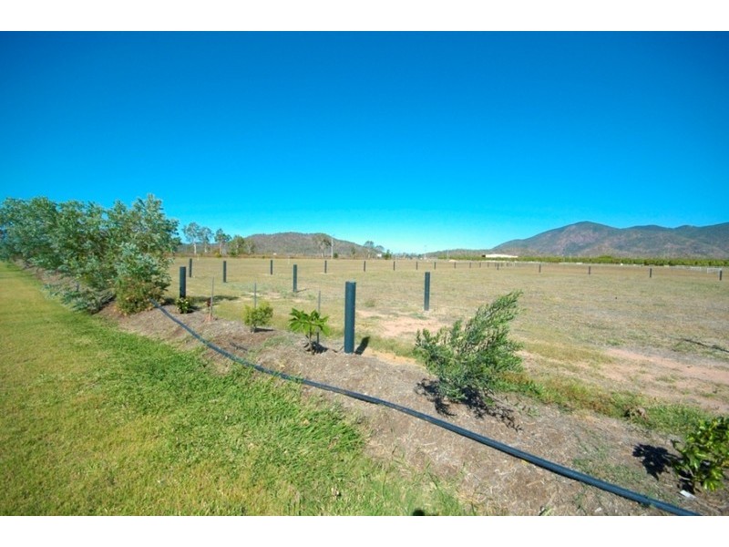48 Noyland Road, Alligator Creek QLD 4816