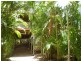 14 Mirimar Crescent, Magnetic Island QLD 4819