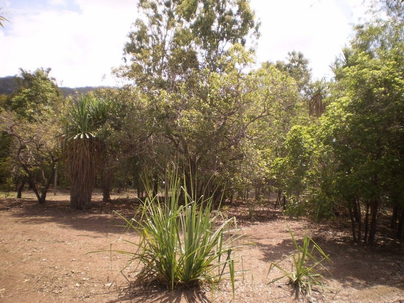 Magnetic Island QLD 4819