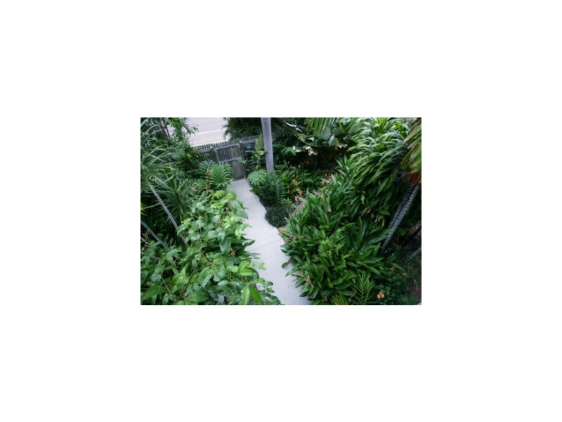 6 Malbon Road, Kirwan QLD 4817