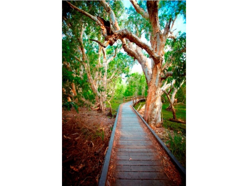 Magnetic Island QLD 4819