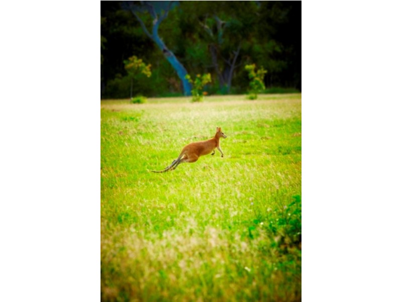 Magnetic Island QLD 4819