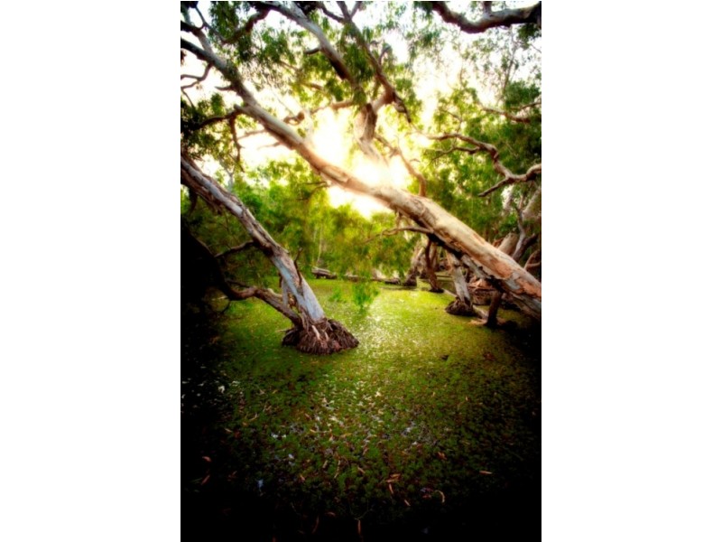 Magnetic Island QLD 4819