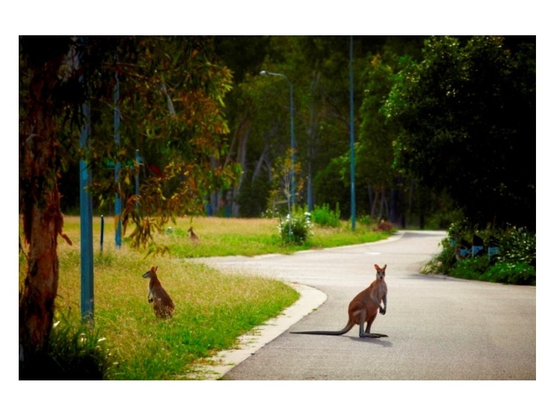 Magnetic Island QLD 4819