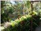 16 Mirimar Crescent, Arcadia, Magnetic Island QLD 4819