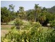195/61  Mandalay Ave  Nelly Bay, Magnetic Island QLD 4819