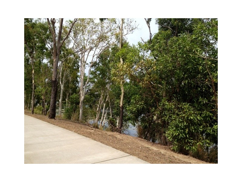 29 Waterlily Circuit, Douglas QLD 4814