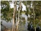 29 Waterlily Circuit, Douglas QLD 4814