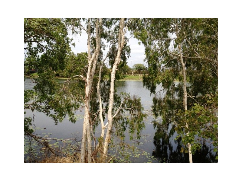 29 Waterlily Circuit, Douglas QLD 4814