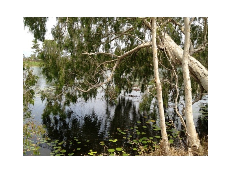 29 Waterlily Circuit, Douglas QLD 4814