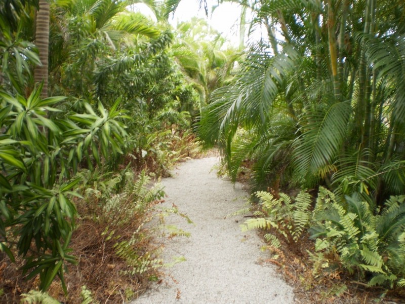 44 Barton Street  Nelly Bay, Magnetic Island QLD 4819