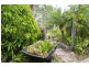 21 The Grove  NELLY BAY, Magnetic Island QLD 4819