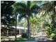 7 Osborne Crt “John’s Modern Island Home” $200 p/n, Magnetic Island QLD 4819