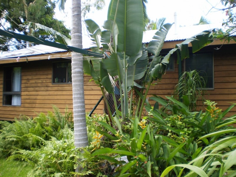 28 Birt Street  Picnic Bay, Magnetic Island QLD 4819