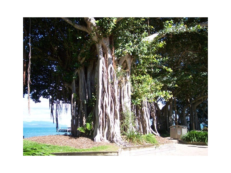 28 Birt Street  Picnic Bay, Magnetic Island QLD 4819