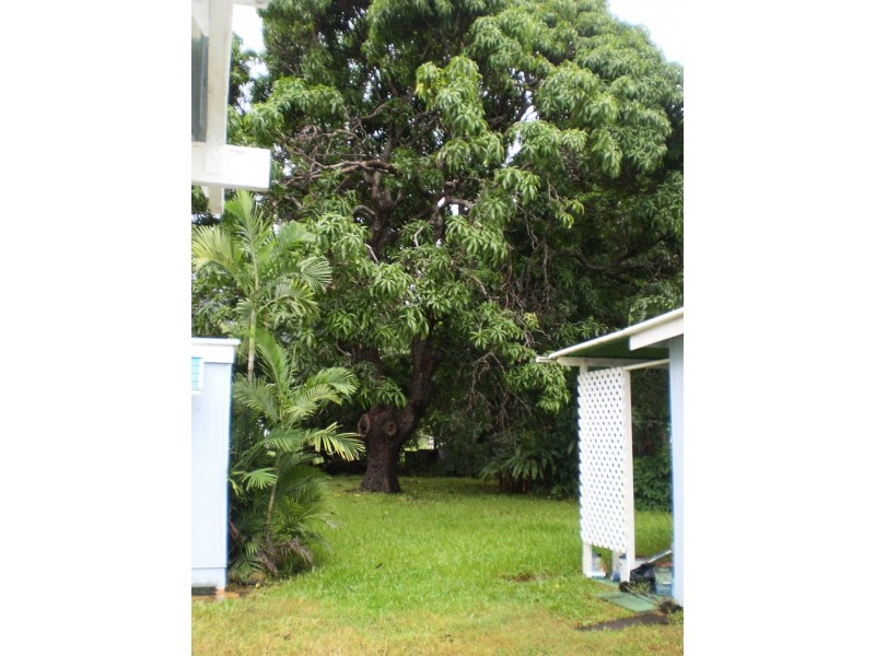 4 Murray Street  Nelly Bay, Magnetic Island QLD 4819