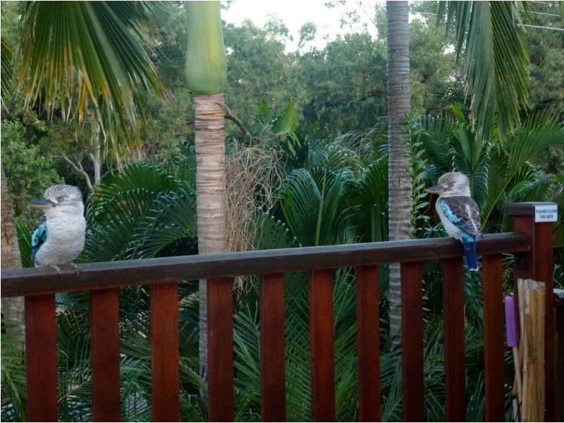 8 Sooning Street  Nelly Bay, Magnetic Island QLD 4819