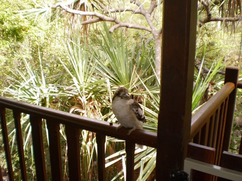 10/106 Mandalay Avenue  Nelly Bay, Magnetic Island QLD 4819