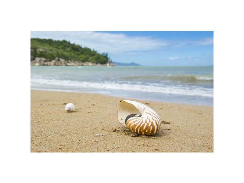 137-139 Horseshoe Bay Road, Horseshoe Bay, Magnetic Island QLD 4819