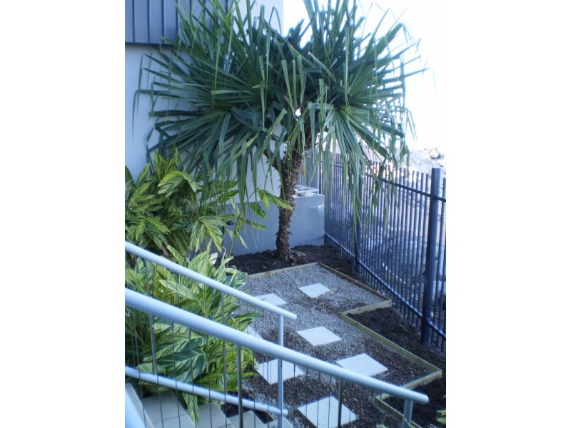 3102/146 Sooning Street  Nelly Bay, Magnetic Island QLD 4819