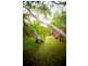 3 Tiramula Court HORSESHOE BAY, Magnetic Island QLD 4819