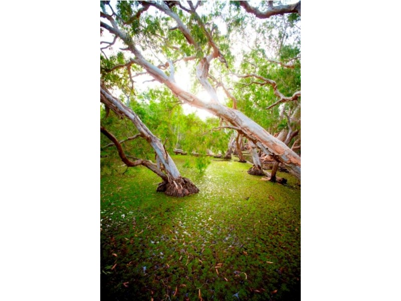 3 Tiramula Court HORSESHOE BAY, Magnetic Island QLD 4819