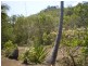33 Compass Crescent Nelly Bay, Magnetic Island QLD 4819