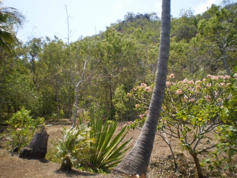 33 Compass Crescent Nelly Bay, Magnetic Island QLD 4819