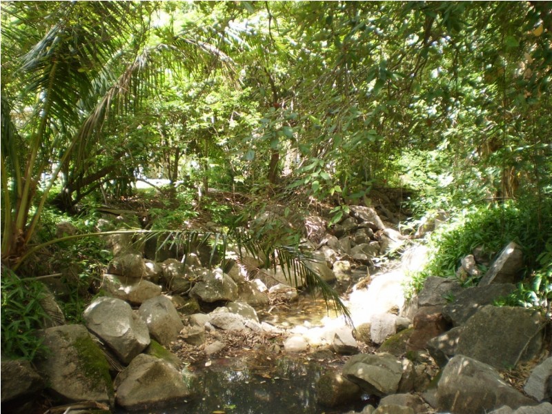 5 Mirimar Crescent Arcadia, Magnetic Island QLD 4819