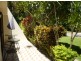 1/59 Hayles Avenue Arcadia, Magnetic Island QLD 4819