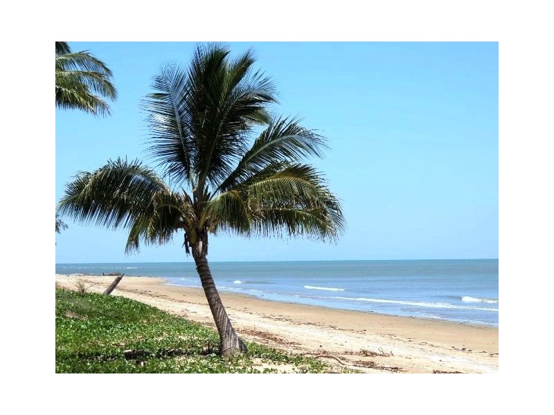 39 Reef Street, Saunders Beach QLD 4818