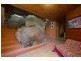 12 Boulder Court, Nelly Bay, Magnetic Island QLD 4819