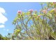 15 Elena Street NELLY BAY, Magnetic Island QLD 4819
