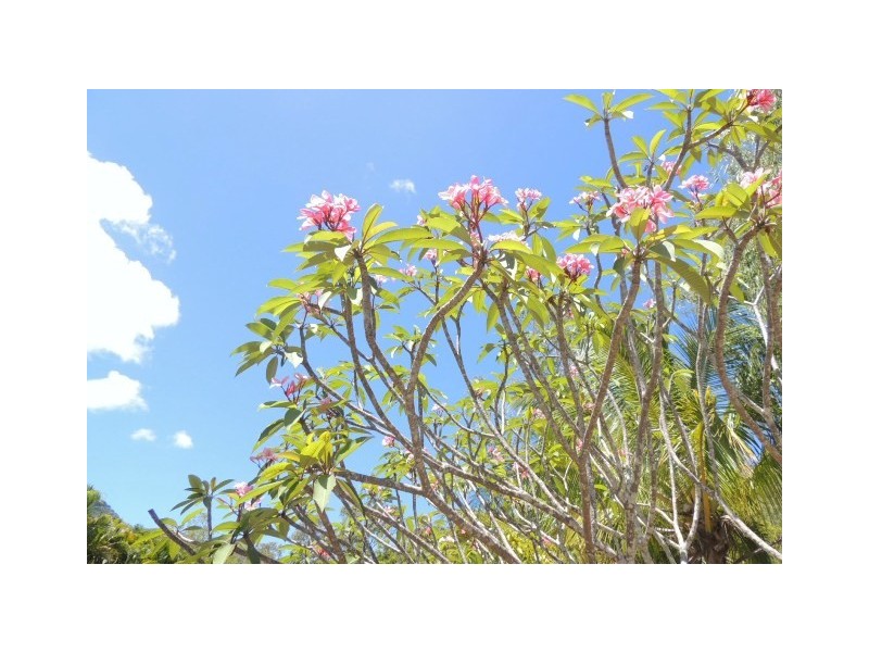 15 Elena Street NELLY BAY, Magnetic Island QLD 4819