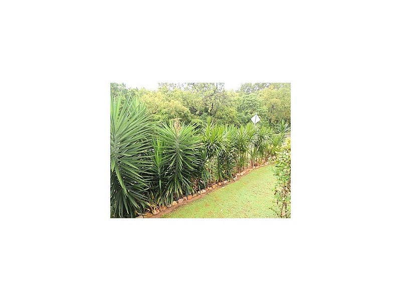 34 Armand Way Arcadia, Magnetic Island QLD 4819
