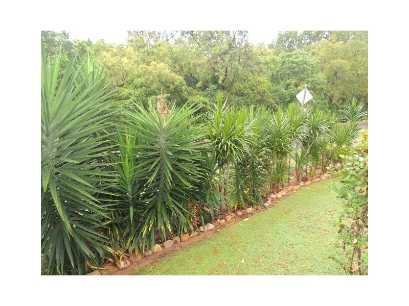 34 Armand Way, Arcadia QLD 4819