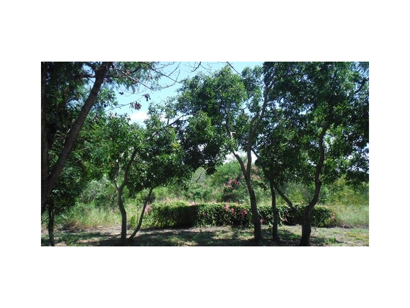 101 Cay Street, Saunders Beach QLD 4818