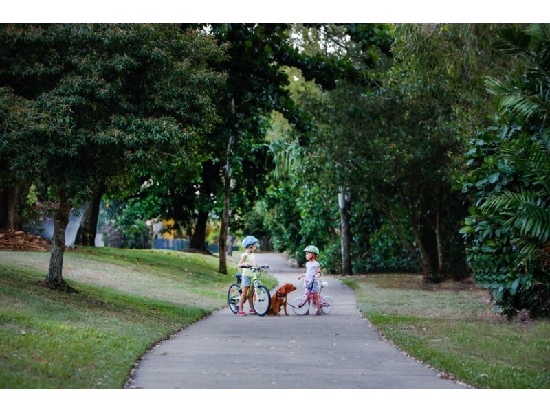 44 Sanctuary Drive, Idalia QLD 4811