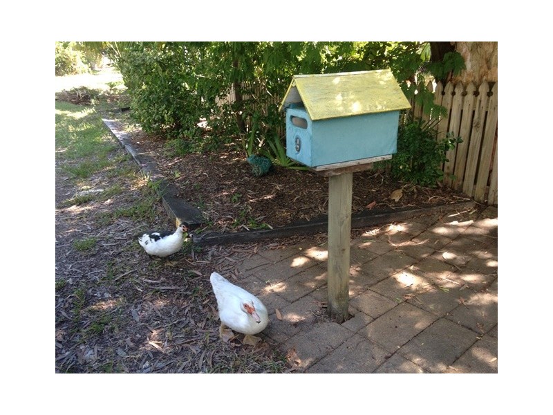 1/9 McCabe Crescent, Arcadia, Magnetic Island QLD 4819