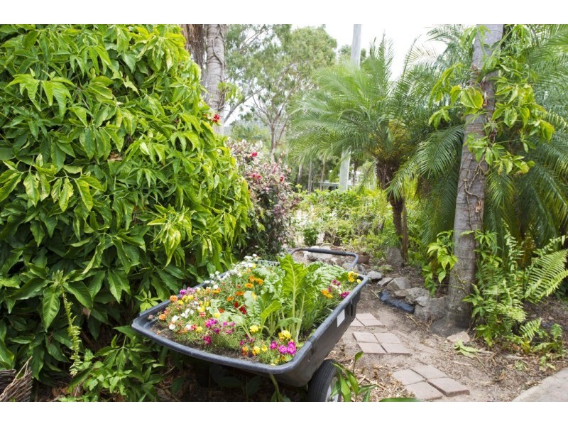 21 The Grove  NELLY BAY, Magnetic Island QLD 4819